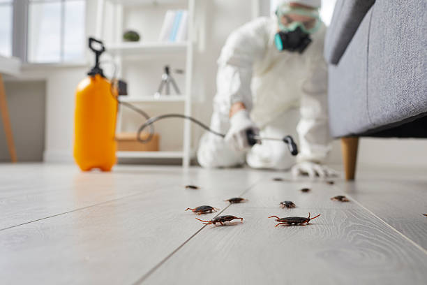 Commercial Kitchen Cockroach Control in Panacea